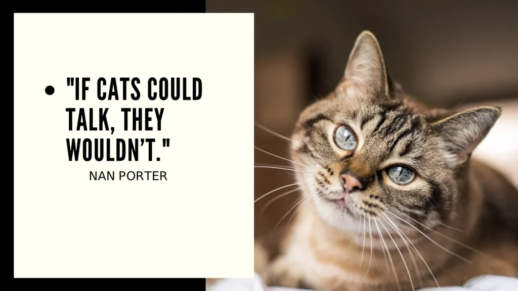 "If cats could talk, they wouldn’t." —Nan Porter